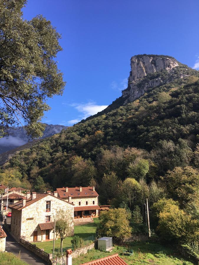 Albergue Cabrales كارينا دي كابراليس المظهر الخارجي الصورة